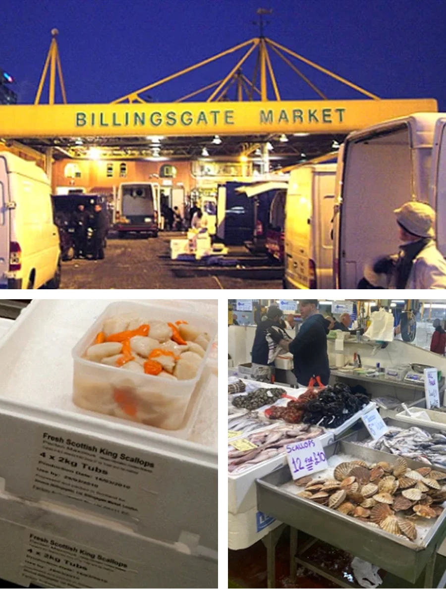 Billingsgate Market before dawn, tubs of shucked scallops, and scallops in their shells on a stall