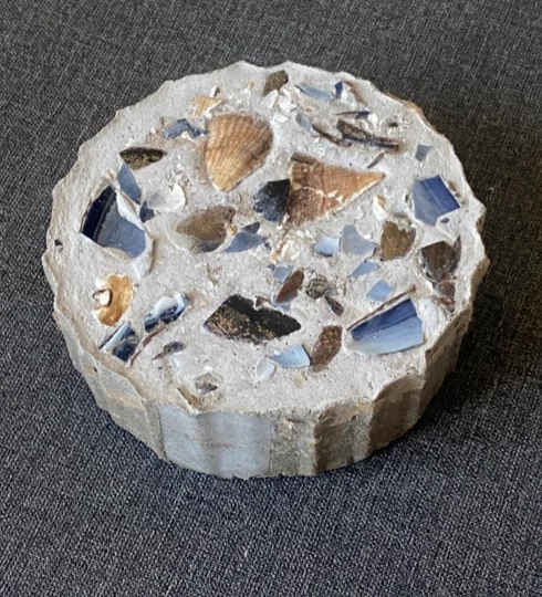 Concrete disc set with blue mussel and pale scallop fragments