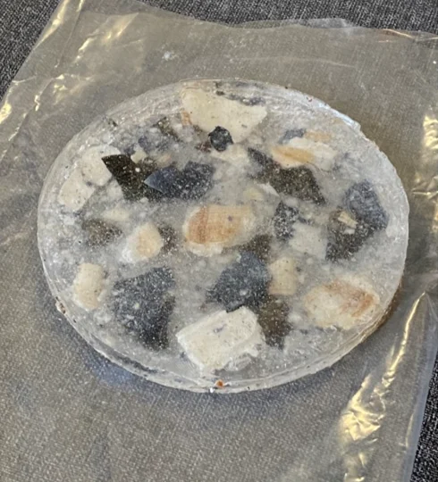 Cloudy, semi-translucent resin disc set with shell fragments