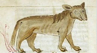 Medieval bestiary drawing of the Crocotta, a dog-like beast with a wide grin